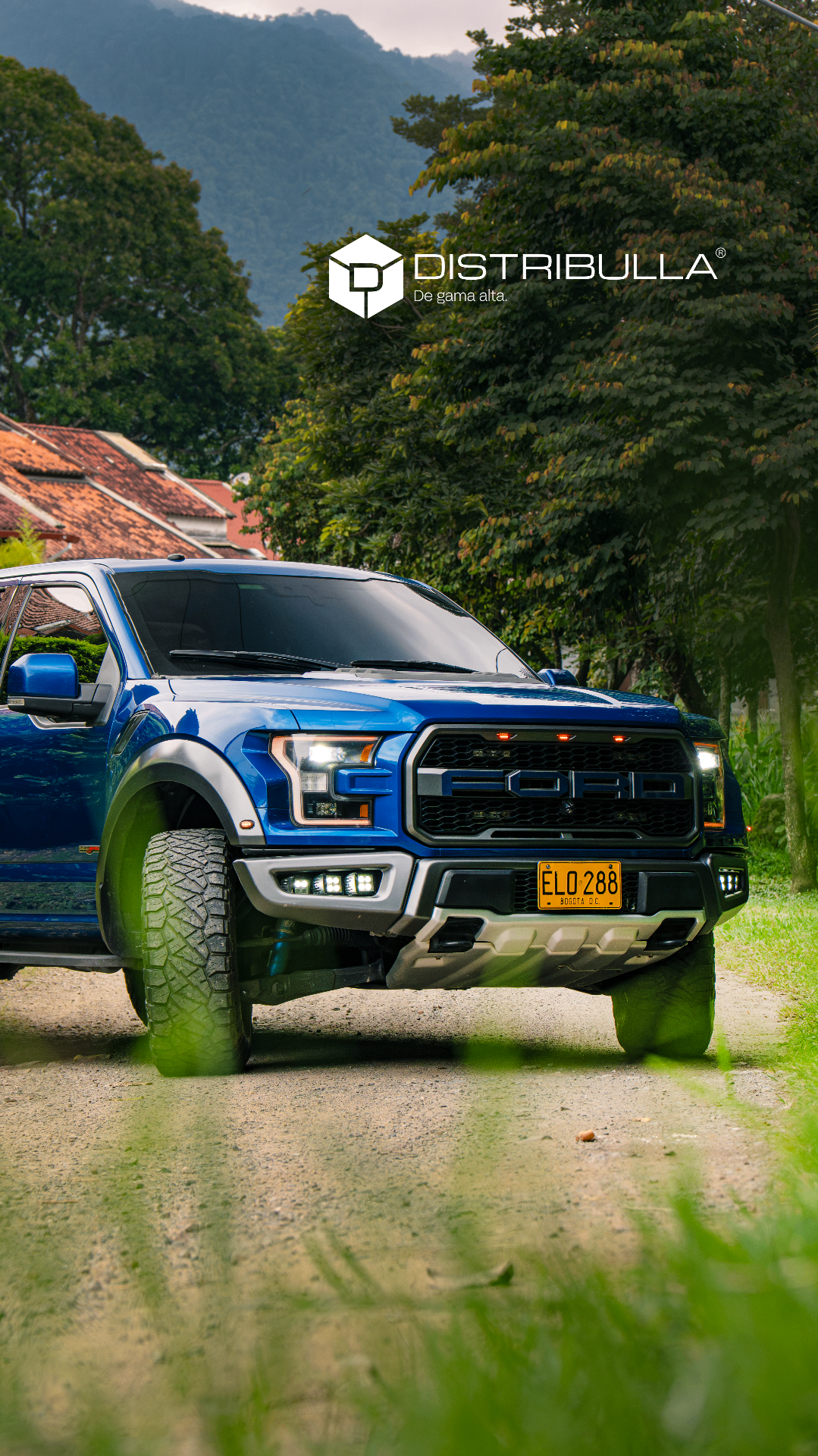 Ford Raptor — DISTRIBULLA